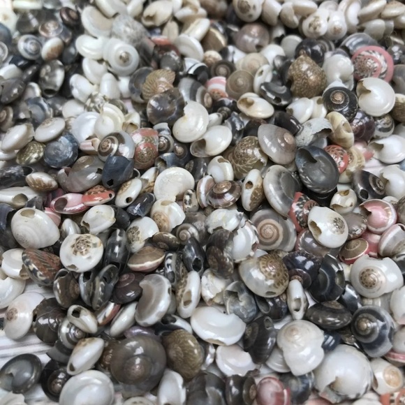 100+ Pcs Real Button TOP Seashells Beads Mixed Lot Jewelry Making DIY Shells - Picture 10 of 12